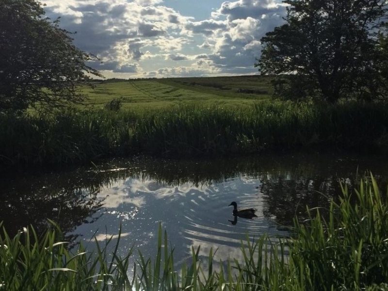 Winchburgh Community Council